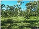 Stockyard Creek Road, Copmanhurst NSW 2460