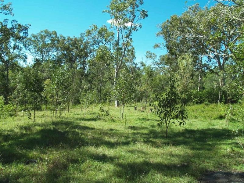 Stockyard Creek Road, Copmanhurst NSW 2460