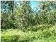 Stockyard Creek Road, Copmanhurst NSW 2460
