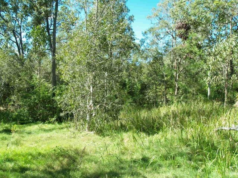 Stockyard Creek Road, Copmanhurst NSW 2460