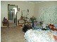 Stockyard Creek Road, Copmanhurst NSW 2460