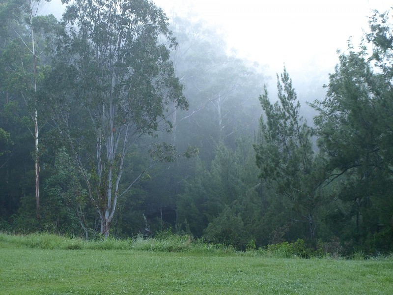2324B Armidale Road, Blaxlands Creek, Grafton NSW 2460