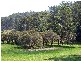 2324B Armidale Road, Blaxlands Creek, Grafton NSW 2460
