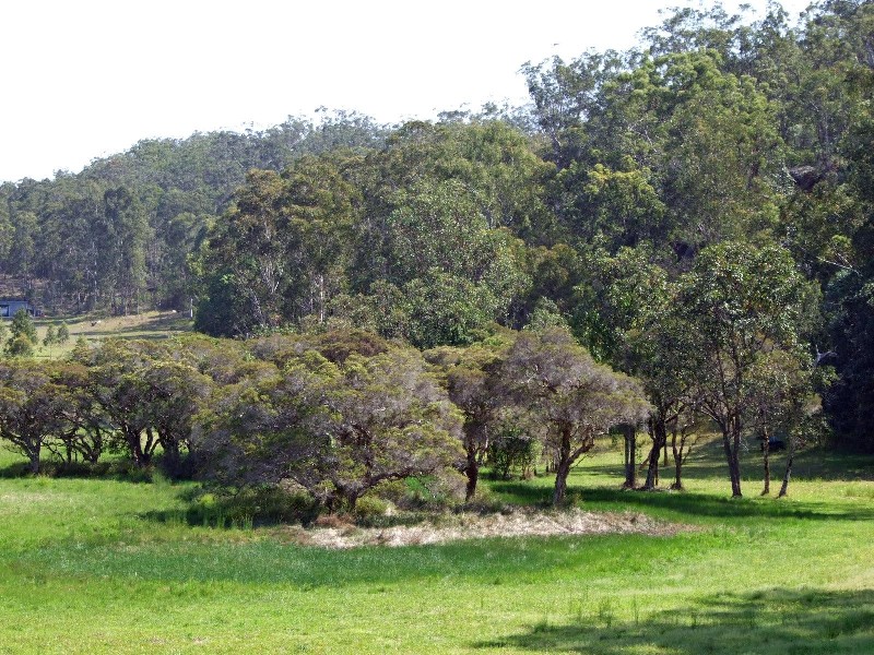 2324B Armidale Road, Blaxlands Creek, Grafton NSW 2460