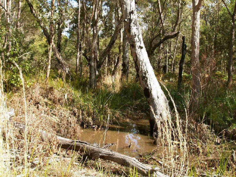 2324B Armidale Road, Blaxlands Creek, Grafton NSW 2460