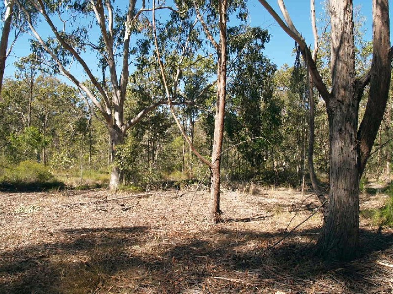 2324B Armidale Road, Blaxlands Creek, Grafton NSW 2460