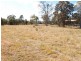 41 Clarence Street, Tucabia NSW 2462