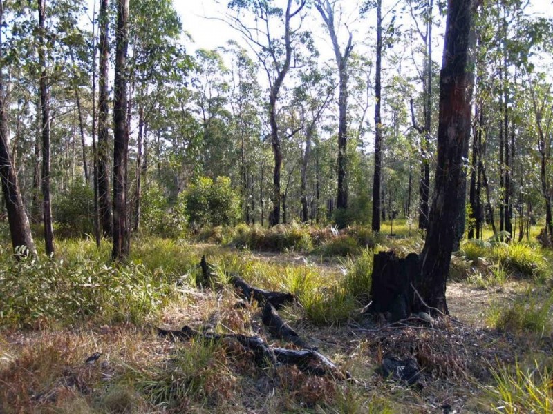 Dundurrabin NSW 2453