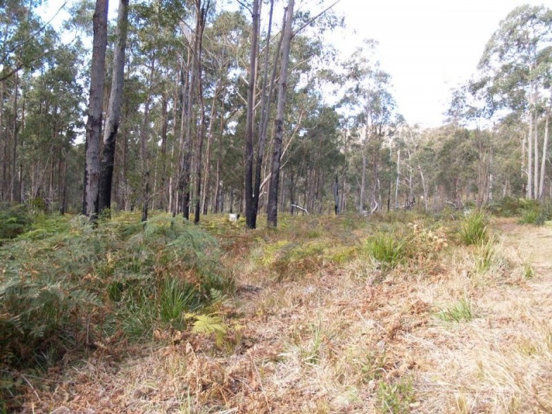 Dundurrabin NSW 2453