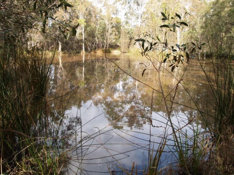 2058 Summerland Way, Warragai Creek NSW 2460