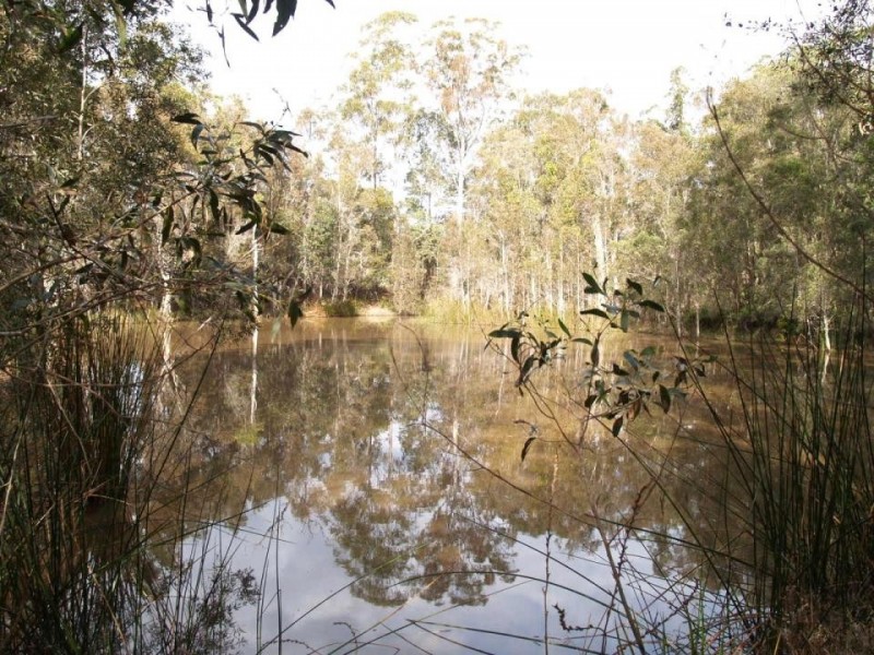 2058 Summerland Way, Warragai Creek NSW 2460