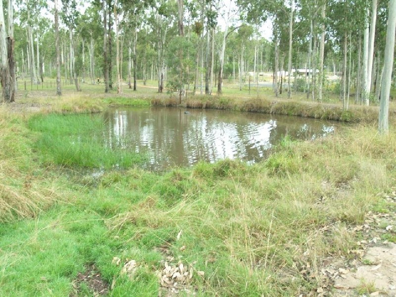 2A Maddison Place, Waterview Heights NSW 2460