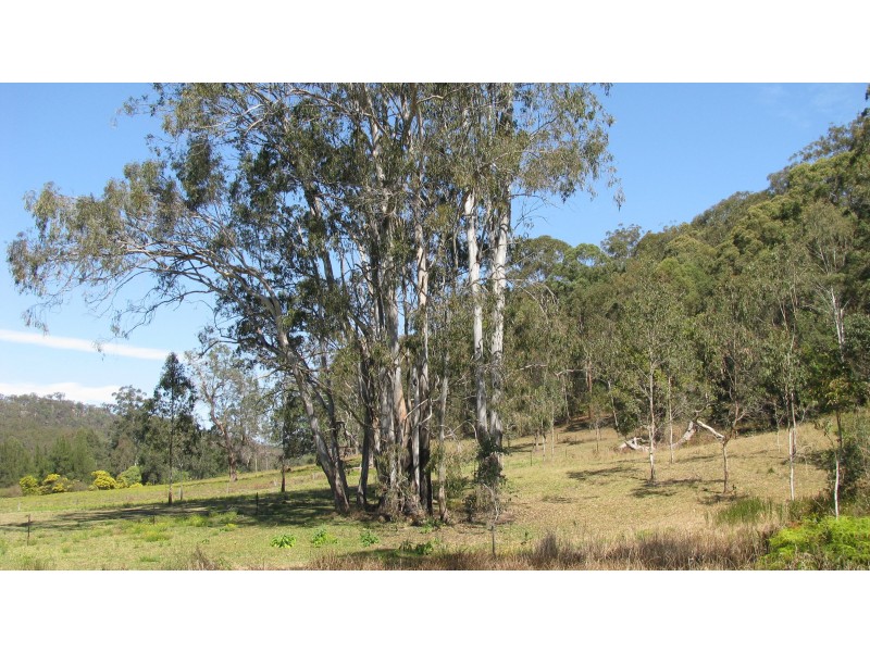 2324 Armidale Road, Blaxlands Creek NSW 2460