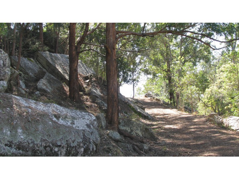 2324 Armidale Road, Blaxlands Creek NSW 2460