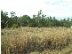 183 Dinjerra Road, Glenugie NSW 2460