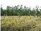 183 Dinjerra Road, Glenugie NSW 2460