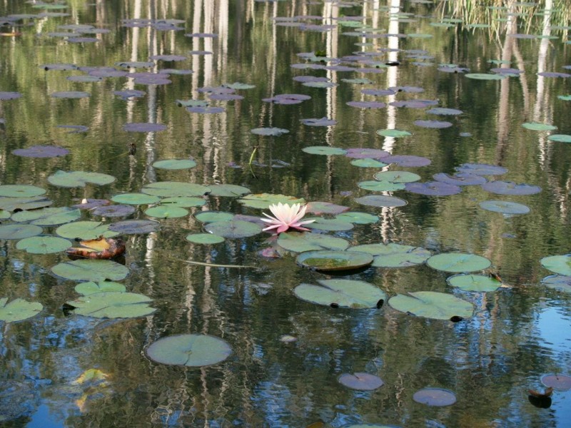 64 Airport Road, Grafton NSW 2460