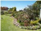 36 Armidale Road, Coutts Crossing NSW 2460