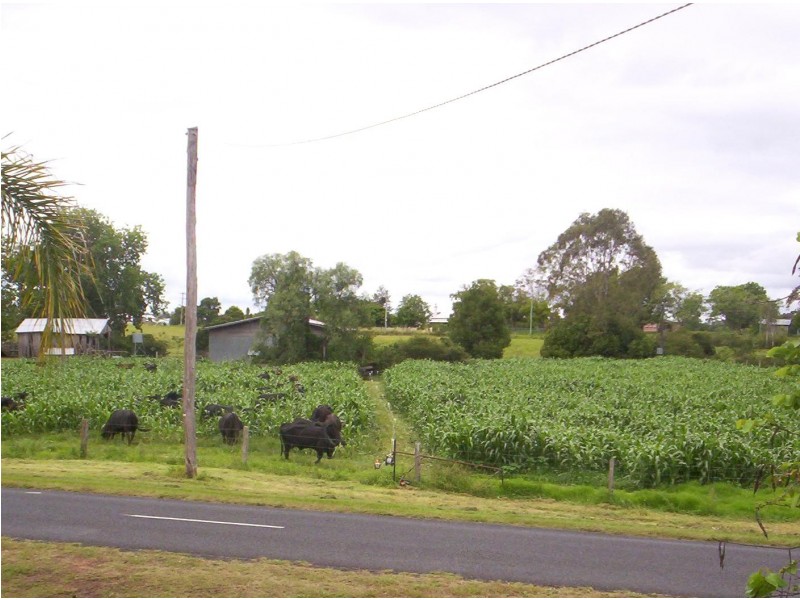 1088 Lawrence Road, Southgate NSW 2460