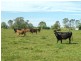 1088 Lawrence Road, Southgate NSW 2460