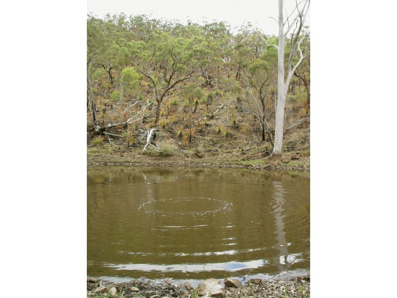 468 Carnham Road, Grafton NSW 2460