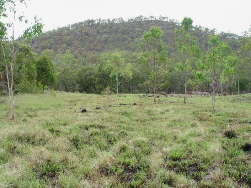 468 Carnham Road, Grafton NSW 2460