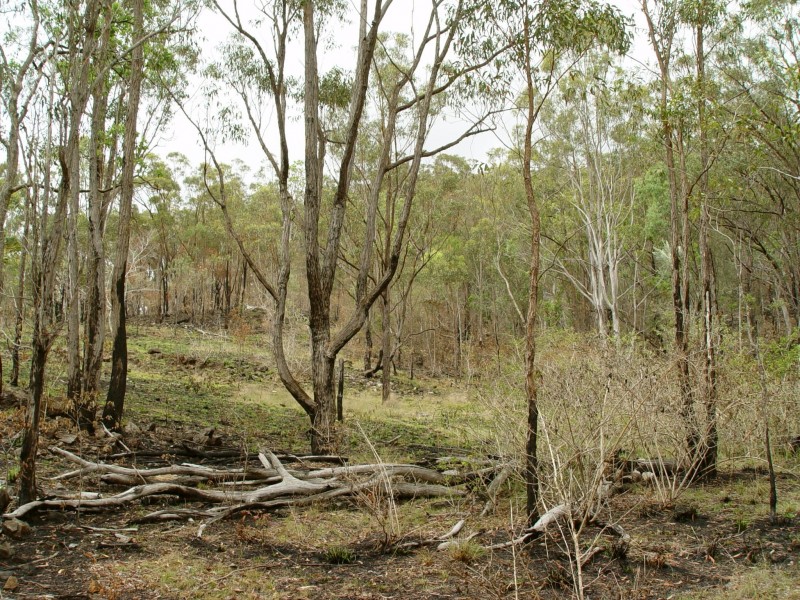 468 Carnham Road, Grafton NSW 2460
