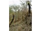 468 Carnham Road, Grafton NSW 2460