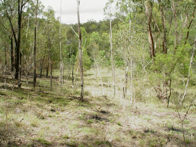 468 Carnham Road, Grafton NSW 2460