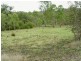 468 Carnham Road, Grafton NSW 2460