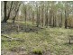 468 Carnham Road, Grafton NSW 2460