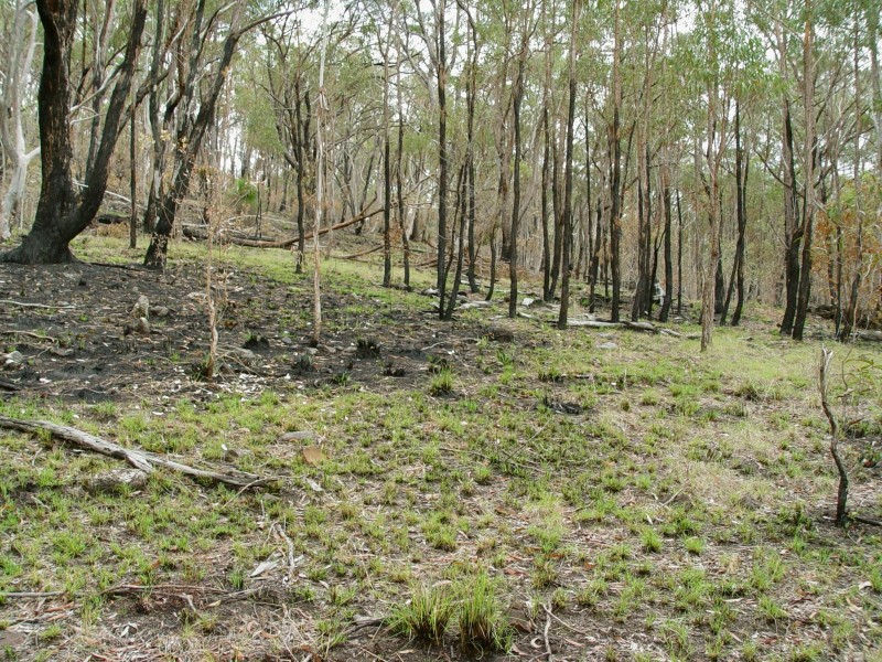 468 Carnham Road, Grafton NSW 2460