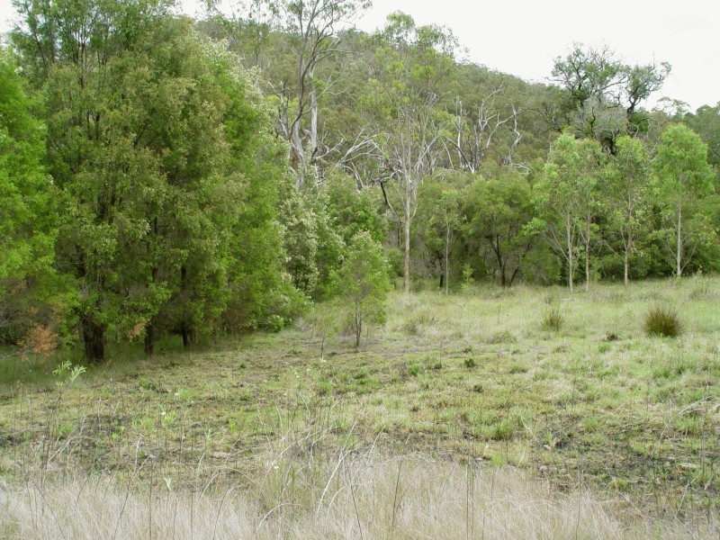 468 Carnham Road, Grafton NSW 2460