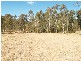 Lot 331 Greberts Road, Stockyard Creek NSW 2460