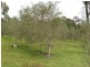 44 Mulligan Drive, Waterview Heights NSW 2460