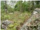 982 Kungala Road, Kungala NSW 2460