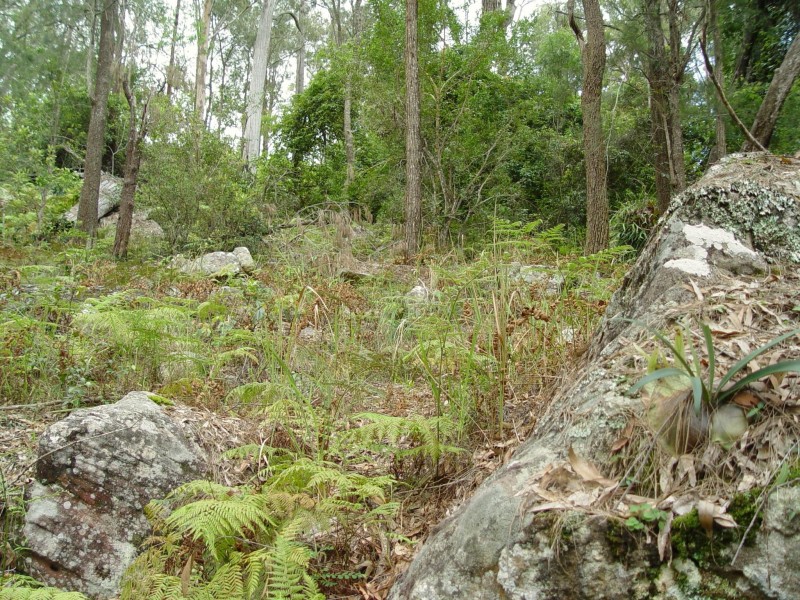 982 Kungala Road, Kungala NSW 2460