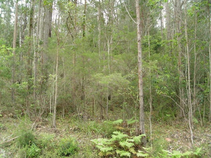 982 Kungala Road, Kungala NSW 2460