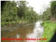 2646 Armidale Road, Coutts Crossing NSW 2460