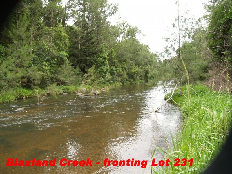 2646 Armidale Road, Coutts Crossing NSW 2460