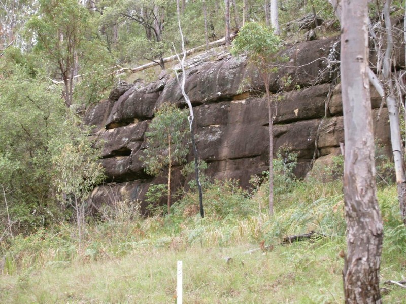 2646 Armidale Road, Coutts Crossing NSW 2460