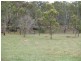 2646 Armidale Road, Coutts Crossing NSW 2460
