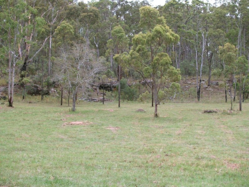 2646 Armidale Road, Coutts Crossing NSW 2460