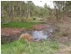 2646 Armidale Road, Coutts Crossing NSW 2460