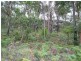 2646 Armidale Road, Coutts Crossing NSW 2460
