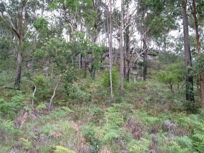 2646 Armidale Road, Coutts Crossing NSW 2460
