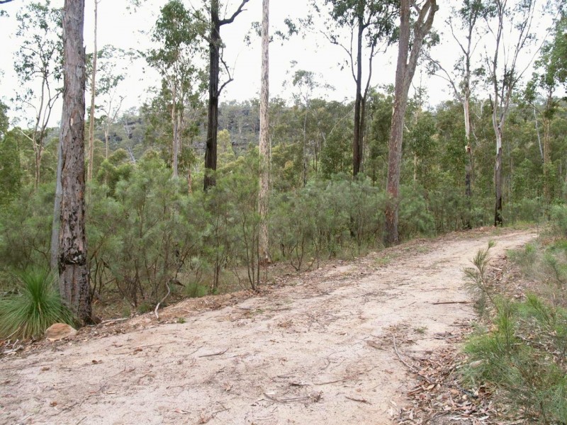 2646 Armidale Road, Coutts Crossing NSW 2460