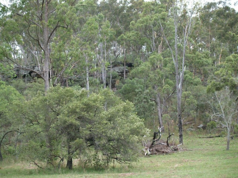 2646 Armidale Road, Coutts Crossing NSW 2460