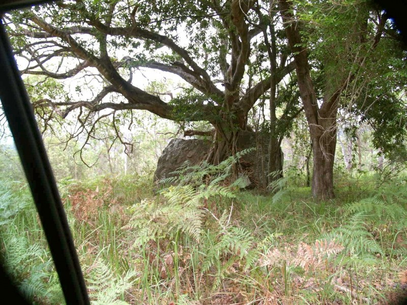 2646 Armidale Road, Coutts Crossing NSW 2460
