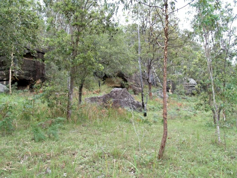 2646 Armidale Road, Coutts Crossing NSW 2460